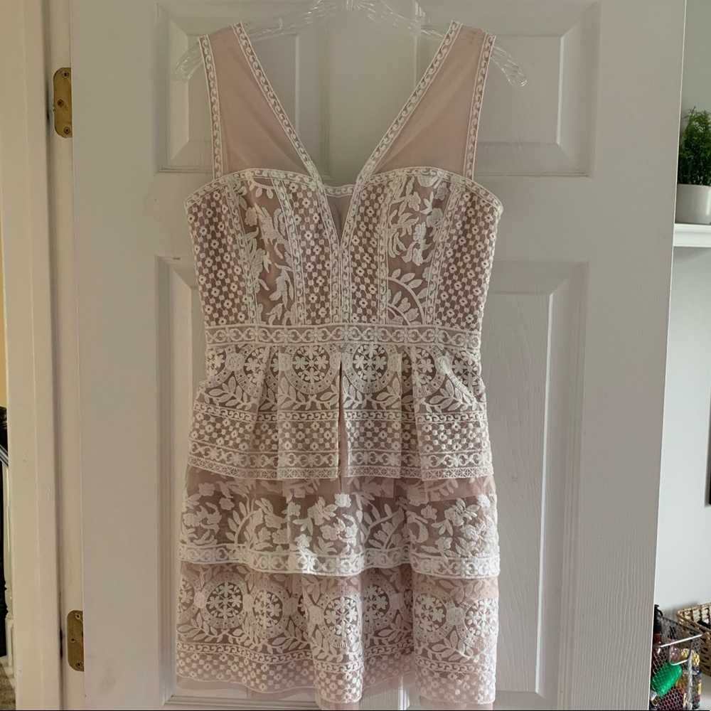Breathtaking BCBG Maxazria lace dress.